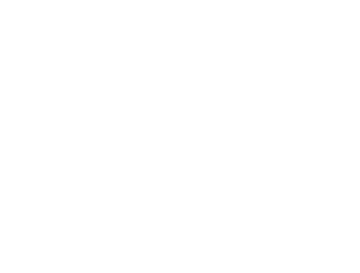 Vaajakoski T-shirt print