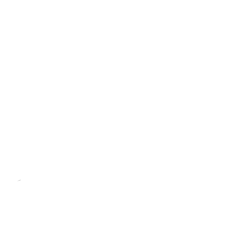 Skiing logo