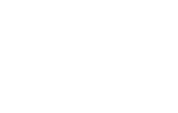 Boom Sport logo