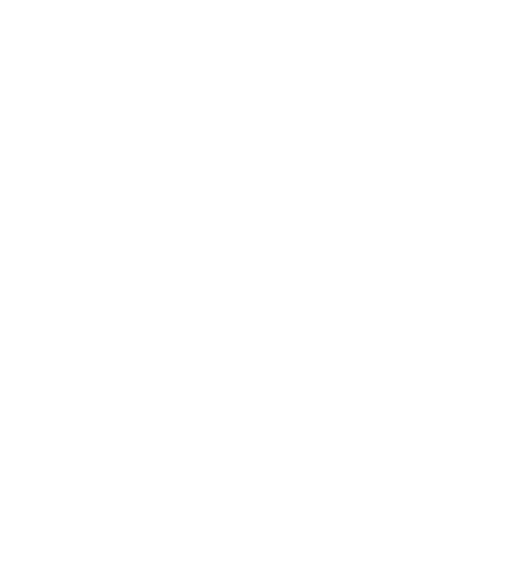 Lions Cup Tournaments