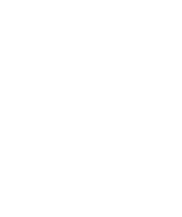 Jyväskylä Street Basket logo